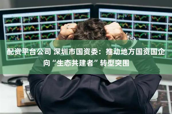 配资平台公司 深圳市国资委：推动地方国资国企向“生态共建者”转型突围