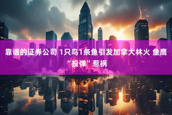 靠谱的证券公司 1只鸟1条鱼引发加拿大林火 鱼鹰“投弹”惹祸