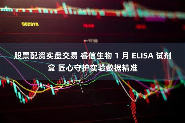 股票配资实盘交易 睿信生物 1 月 ELISA 试剂盒 匠心守护实验数据精准