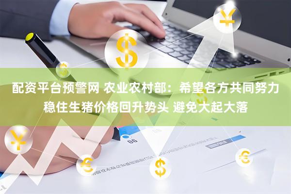 配资平台预警网 农业农村部：希望各方共同努力稳住生猪价格回升势头 避免大起大落